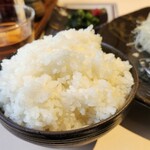 とんかつ憲進 - 硬めの炊き上げは正義!!!!