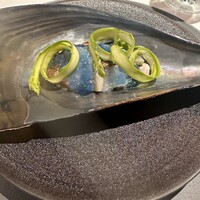 ニシデリア - 