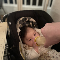 レストラン ラ・マーレ - 