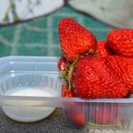 鎌倉観光いちご園 - 