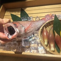 のどぐろ専門 銀座 中俣 - 