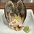 新鮮組 魚×魚 - 料理写真:北寄貝の刺身