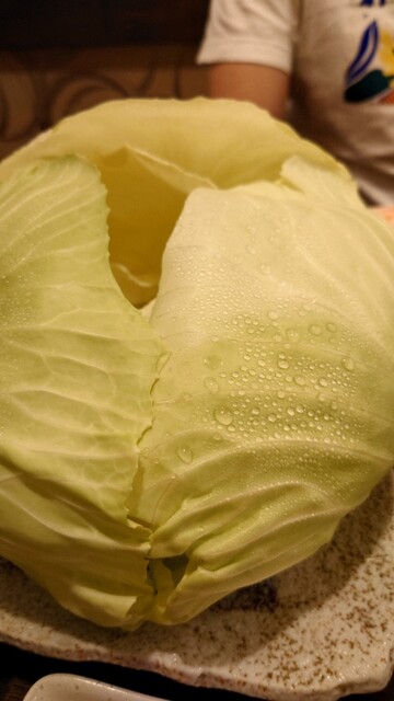 Torisho Akatsuki photo 3