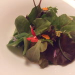 アコルドゥ - 「焼き野菜と生野菜、新芽と葉、花、天然ものと栽培もの」　スープをかけた後