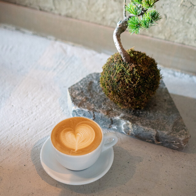 ACTUAL KYOTO photo 2