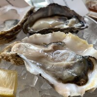 Oysterbar&Wine BELON 渋谷店 - 