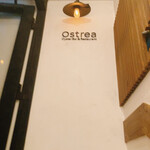 Ostrea - 