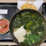 本格派博多うどん はし田たい吉 - 