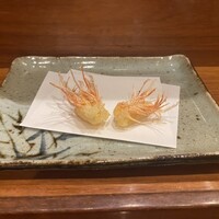 天冨良 よこ田 - 