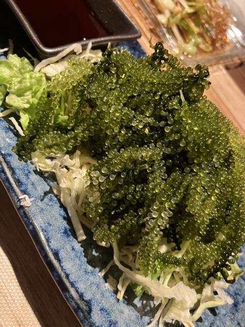 Umi to Sora Hibiscus Shokudo Kiyamachi Ten