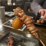 Yakitori Kicchou - 