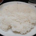 デリー - ライスはボリュームあります。