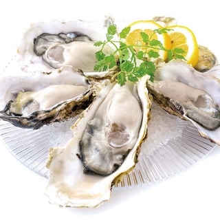 Oyster The delicious "AISC OYSTER" of the