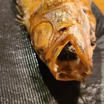 炭火原始焼と蔵元焼酎の店 のどぐろの中俣 - 