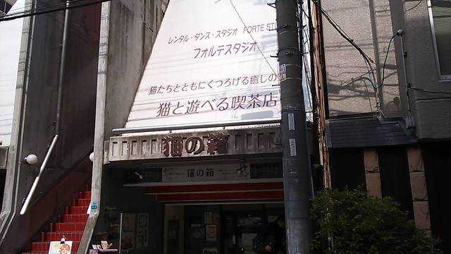 移転 猫カフェ 猫の箱 西中島南方 喫茶店 食べログ