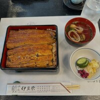 鰻割烹 伊豆栄 本店 -  鰻割烹 伊豆栄 本店 -