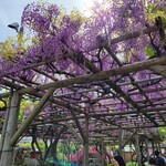 しののめヌードル - 