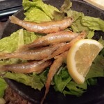 魚彩 なかもと - 