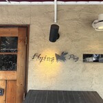 Flying pig - 