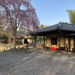 Rope Kurabu Washoku Resutoran - ロペ倶楽部の入口、桜も満開
