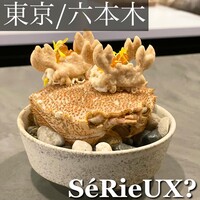 セリュー - 