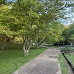柳生の庄 - 修善寺自然公園　もみじの新緑が眩しいです。紅葉の時期は最高でしょうね。