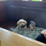 カフェ＆ダイナー ベリーチェ - 