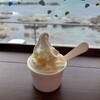 鶴岡市立加茂水族館 売店