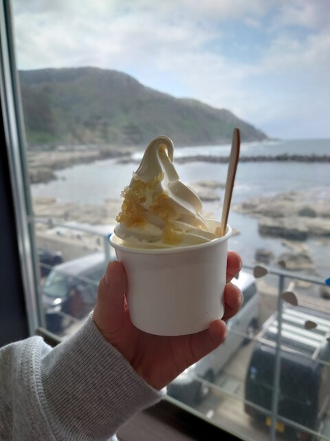 鶴岡市立加茂水族館 売店 - 羽前大山（レストラン）の写真