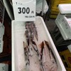 うえだ