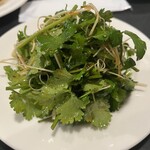 中華食堂 Pata-Pata - パクチー@３回おかわり！
