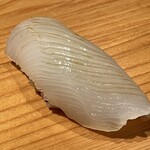 鮨 さかい - あおりいか