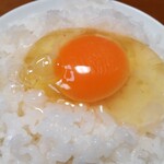 野澤養鶏場株式会社 - 今回はTKGで頂きました