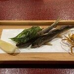 馳走菴 ひじり - 