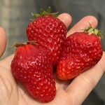 姫路ハートフル観光農園 - 