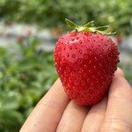 姫路ハートフル観光農園 - 