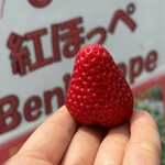 姫路ハートフル観光農園 - 