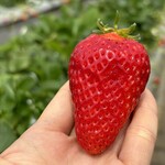 姫路ハートフル観光農園 - 