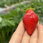 姫路ハートフル観光農園 - 