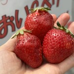 姫路ハートフル観光農園 - 