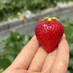 姫路ハートフル観光農園 - 