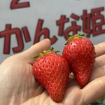 姫路ハートフル観光農園 - 