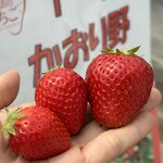 姫路ハートフル観光農園 - 