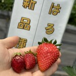 姫路ハートフル観光農園 - 