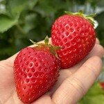 姫路ハートフル観光農園 - 