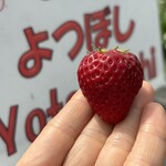 姫路ハートフル観光農園 - 