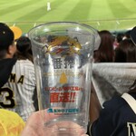 HANSHIN KOSHIEN STADIUM - 