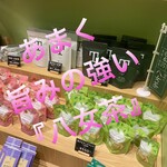 濱風茶房 - 八女茶専門店♫