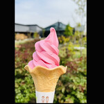 いばらきフラワーパーク - 料理写真:バラのソフトクリーム　byまみこまみこ
