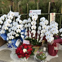 徳ㇵ本也 - 